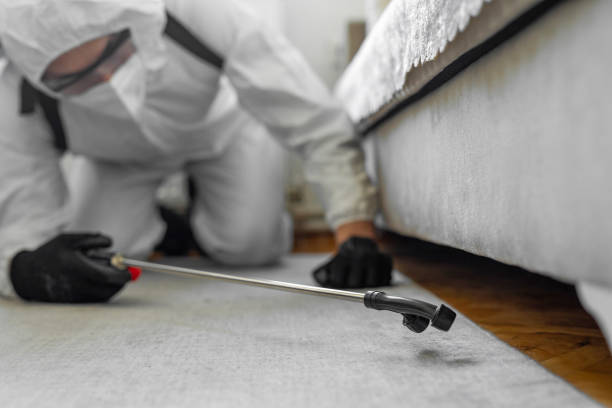 Professional Bed Bug Control technician working in Blountstown, FL