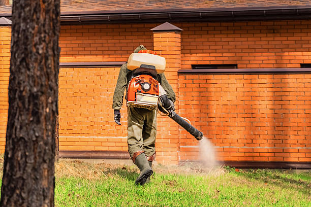 Trusted Rodent Control service in Blountstown, FL - Nex Pest Control